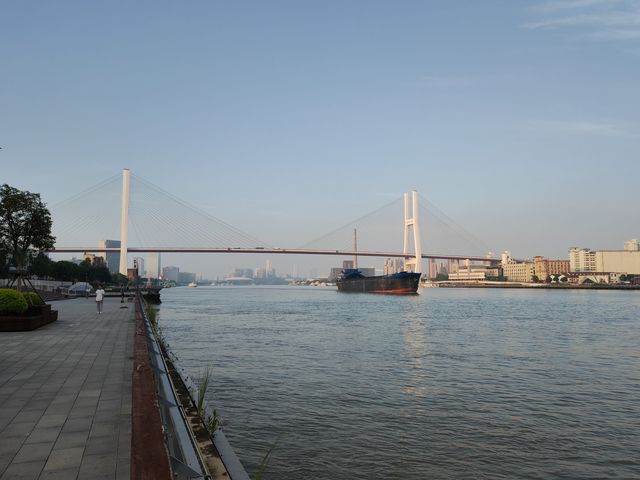 一橋飛架黃浦江—南浦大橋