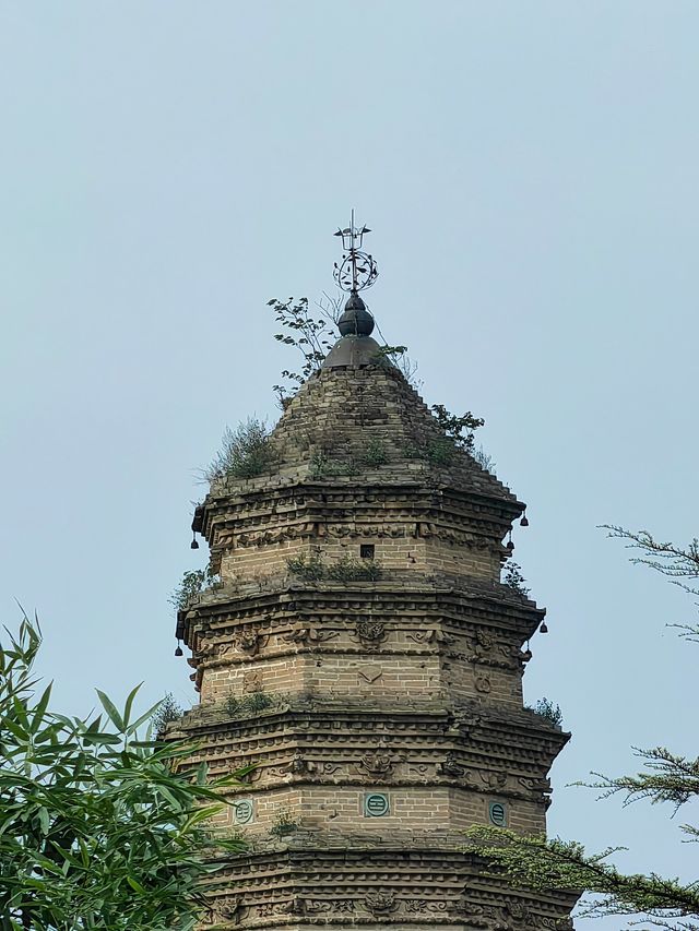 陝西禮泉金龜寺普通塔