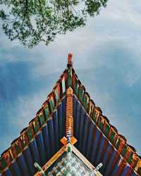 臨洮臥龍寺