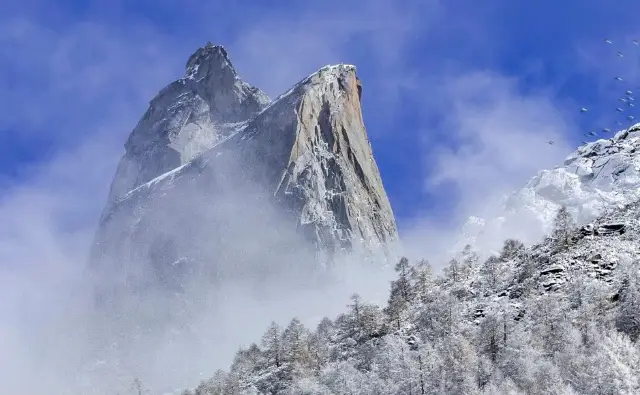 Siguniang Mountain Scenic Area, Shuangqiao Valley, shrouded in clouds and mist, just like a fairyland!