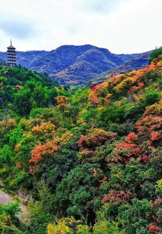 Red Leaf Valley