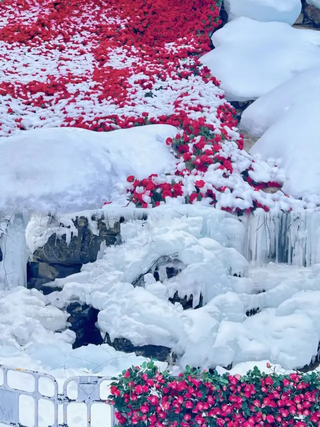 Henan Yuntai Mountain | How can it be so beautiful?