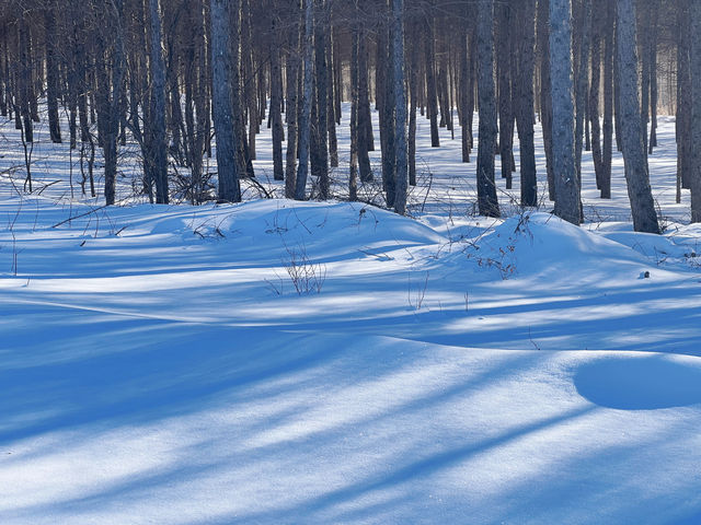 白茫茫軟綿綿鬆鬆散散的雪