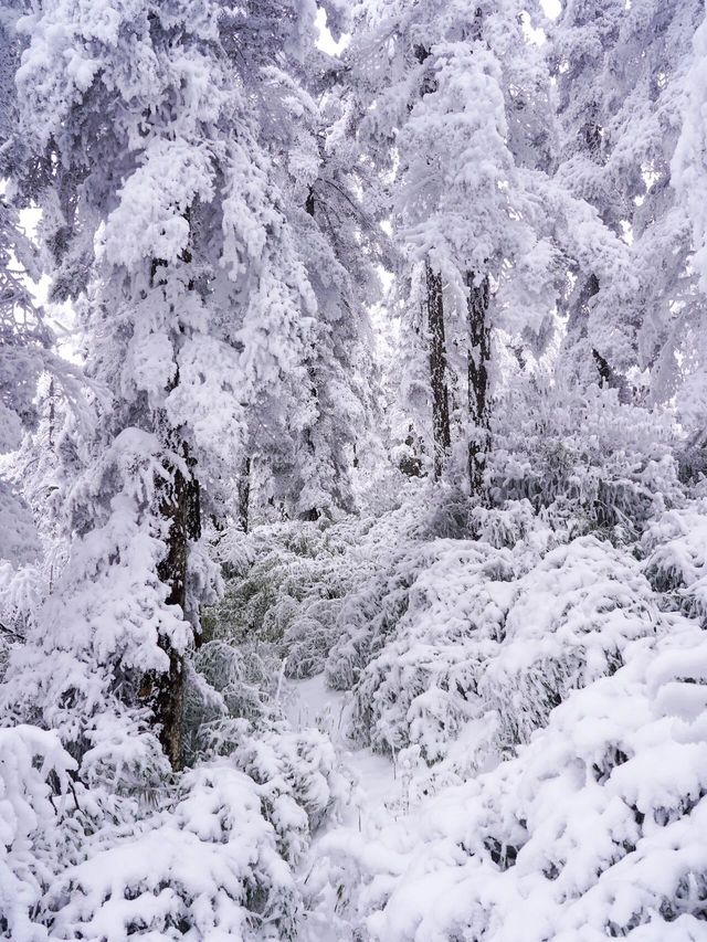 冬日必去瓦屋山現實版雪國童話世界