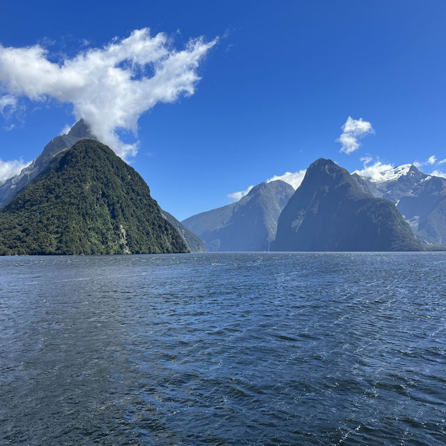 A Taste of the Enchanting Fiordland!