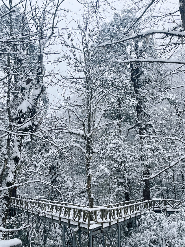 反向旅遊，春節假期適合去的小眾景點