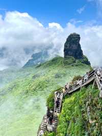 一句向雲端～我就來到了梵淨山