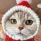 Foster_Dinah_71