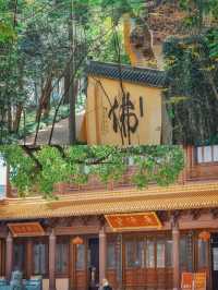 芜湖旅遊：寶藏地不再低調，附實用攻略