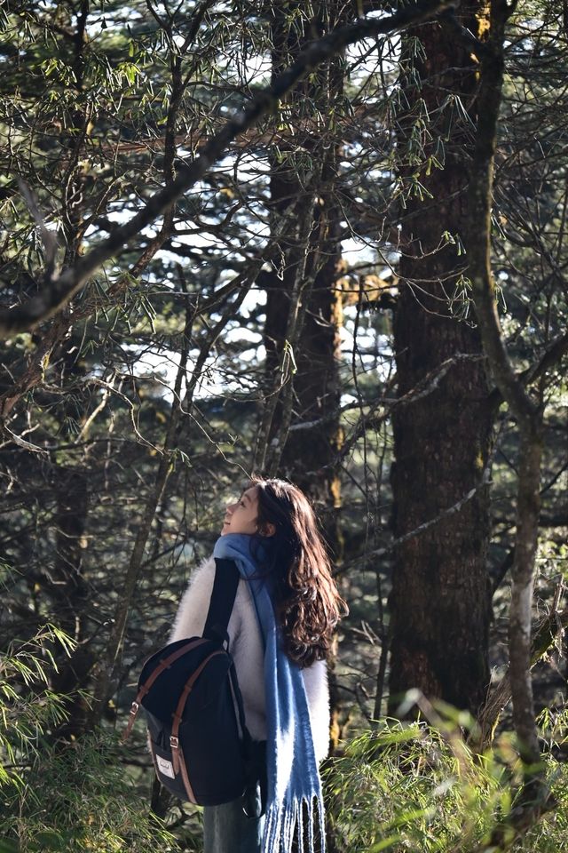 觀雲海日出，遠眺貢嘎雪山