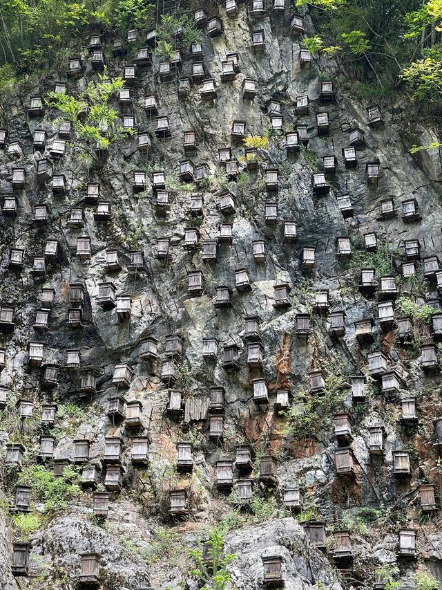 湖北神農架充滿神秘未知謎一樣的地方