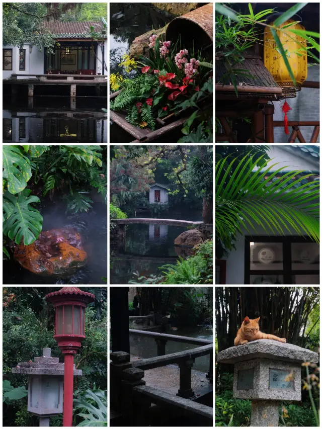 雨中岭南夢境：廣州蘭圃一日遊探秘