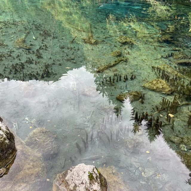 永遠對川西心動