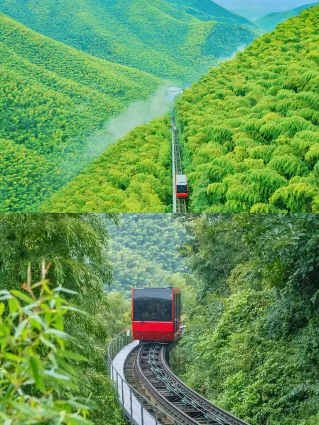 Experience the gentleness and romance of the green fields of Jiangnan as you stroll between the lake and mountains of Tianmu Lake, as if stepping into a postcard of the region