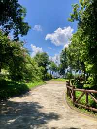 銀湖山郊野公園
