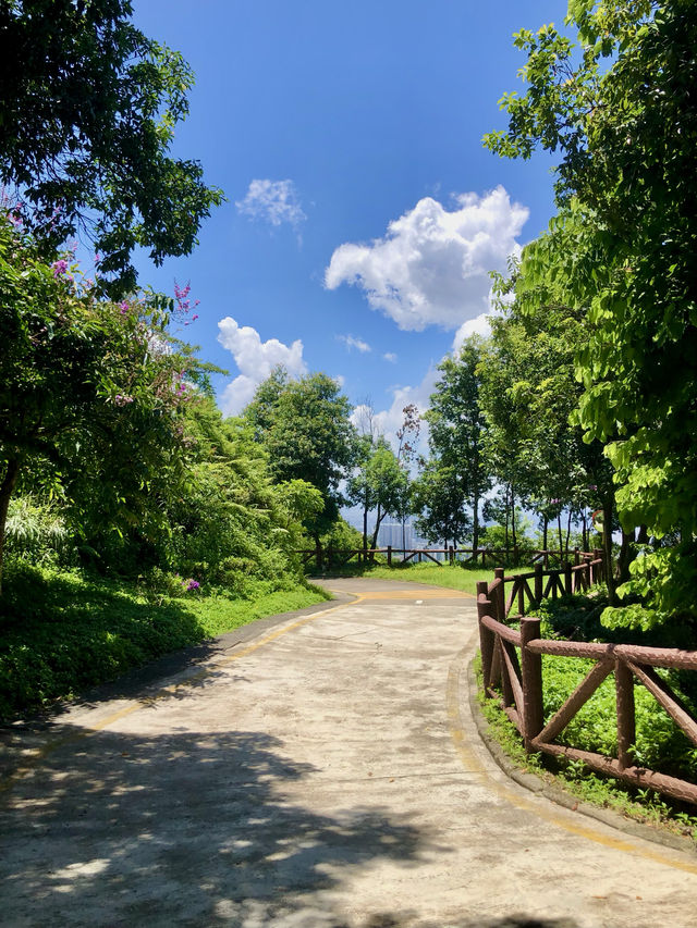 銀湖山郊野公園
