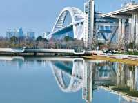 世博文化公園將是魔都市區最大的生態公園