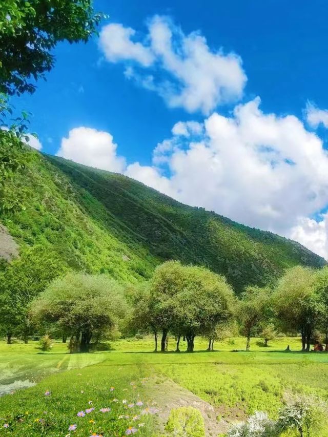 不愧是《康定情歌》的取景地,這個小鎮也太美了! 不愧是《康定情歌》的取景地,這個小鎮也太美了!