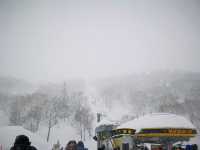 札幌滑雪場：釋放冬日激情，盡享極致滑雪樂趣！