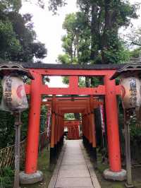 日本東京上野公園丨春有櫻花夏荷花，秋有紅葉冬有雪丨神社博物館