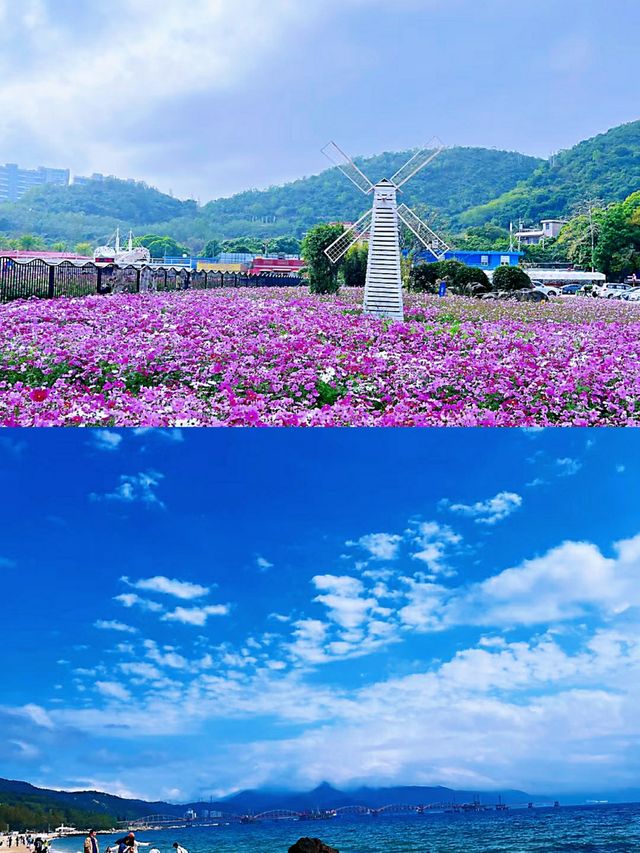 來深圳必須去玫瑰海岸