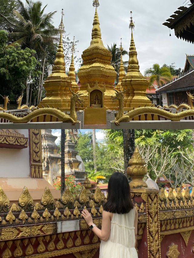 雲南旅遊丨西雙版納旅遊看這一篇就夠了丨西雙版納旅遊景點攻略