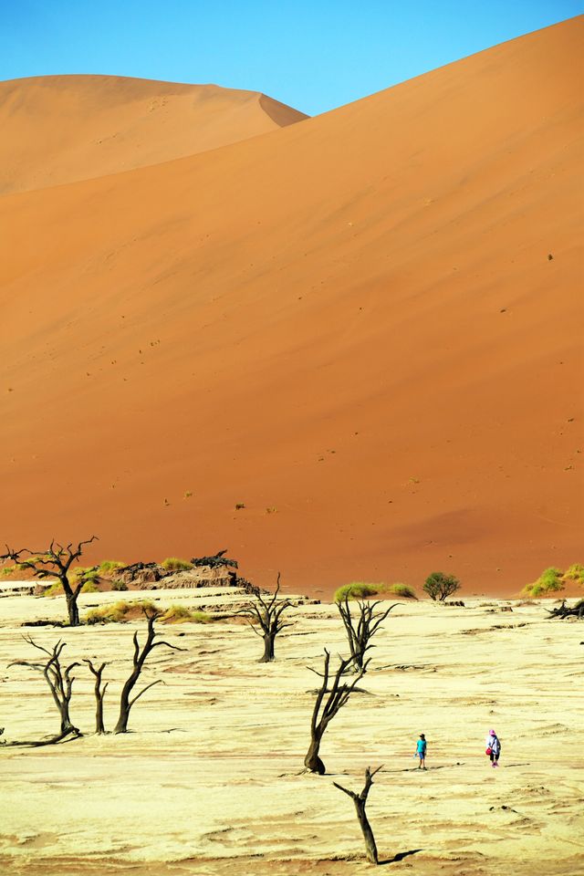 孤寂靜默  遒勁延展——納米比亞“死亡谷”