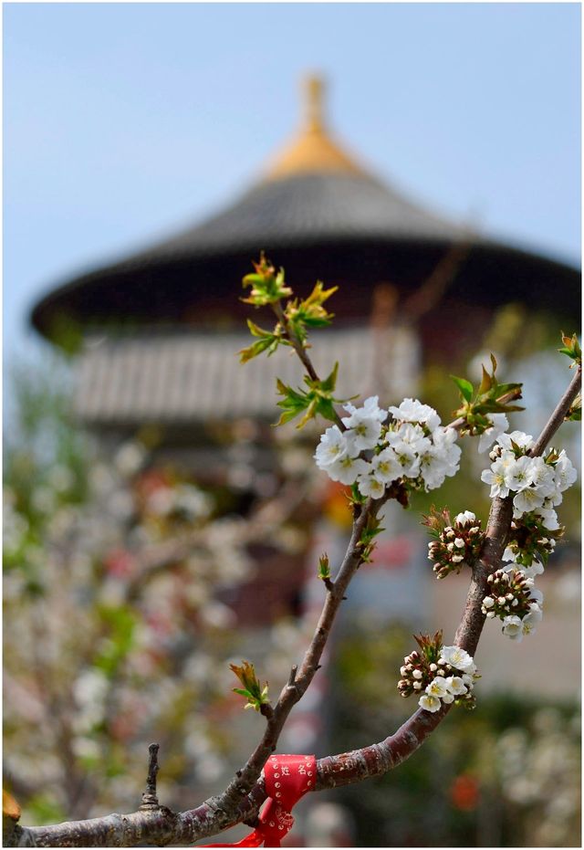 《春遊馬泉休閒園》