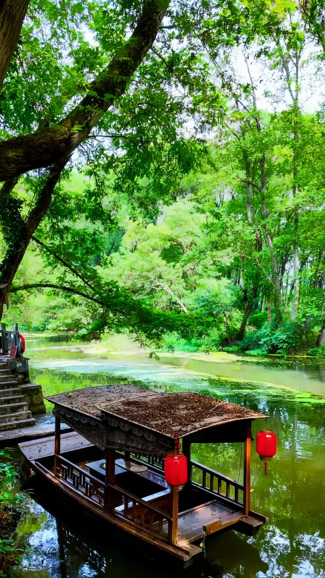 My goodness! There is such a green fairyland at the foot of Mount Huangshan, Xixi South