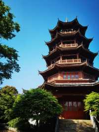 貴州百里杜鵑-大方縣一日遊