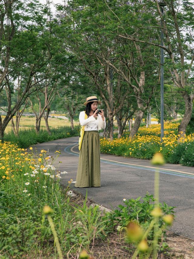 騎行尋寶！成都玉石濕地公園，邂逅超大規模花海