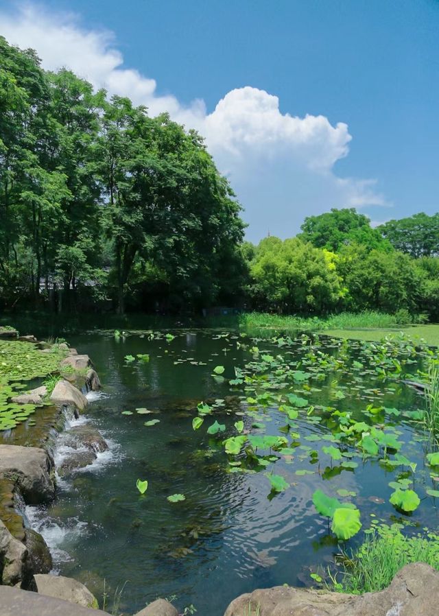 99%的杭州人不知道的小眾秘境仿佛莫奈花園