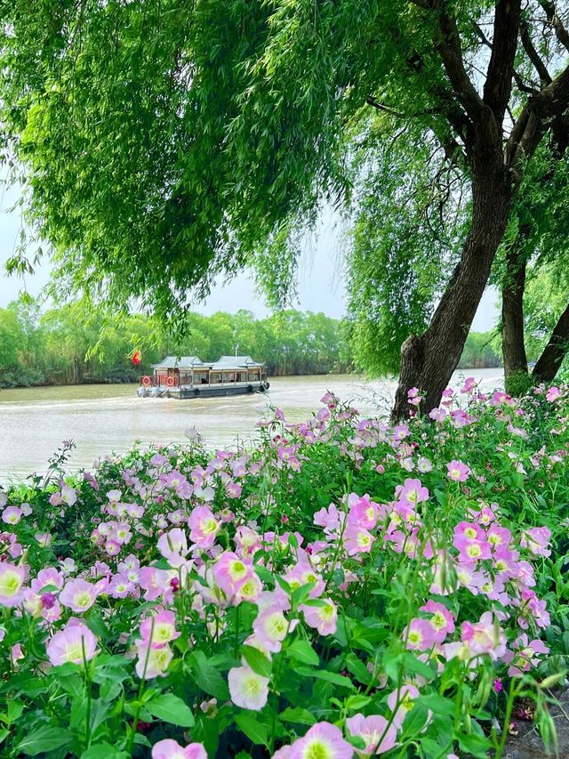 焦岗湖
