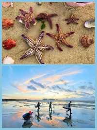 北海紅樹林必去趕海攻略：潮起潮落間的親子樂趣