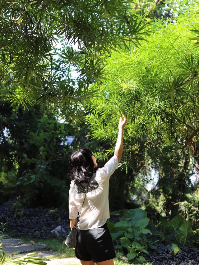 鼓浪屿小眾景點：月光岩閒散小攻略