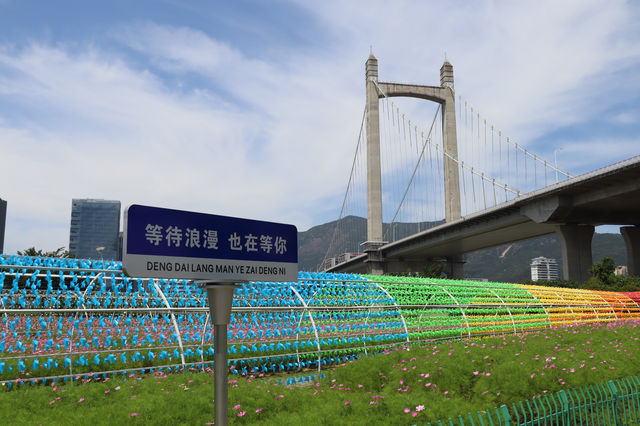花海公園，攝影愛好者的福地