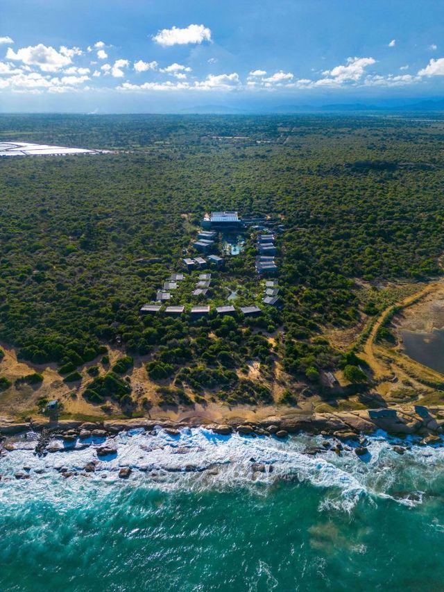 🌴🐘 Exotic Escapes: Hilton Yala Resort, Sri Lanka 🌊🌞