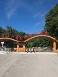 沈陽至黃椅山森林自駕遊攻略
