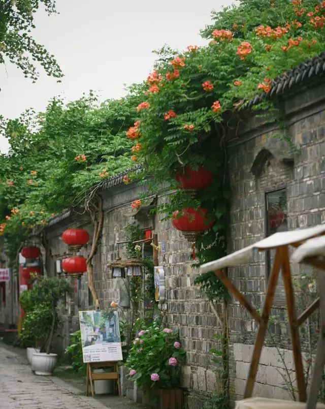 南京|開了開了,被老門東的凌霄花美到了!