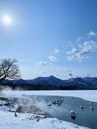 下次旅行去哪裡｜北海道知床可以嗎