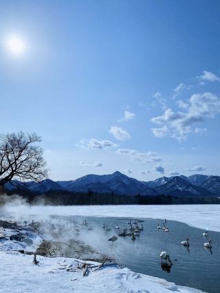 Where to go for the next trip | How about Shiretoko in Hokkaido?
