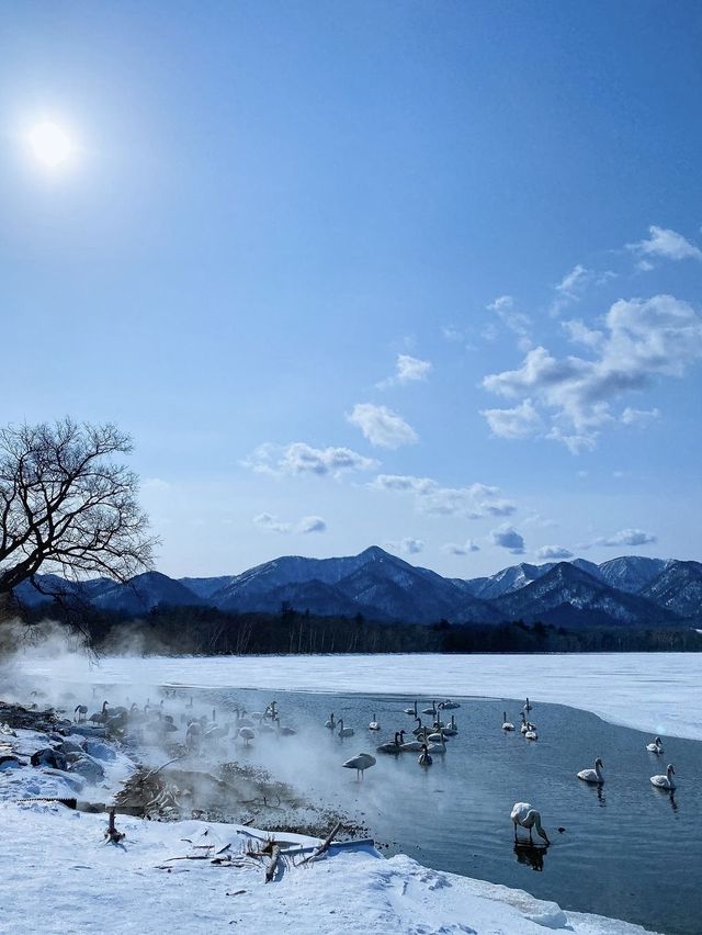 下次旅行去哪裡｜北海道知床可以嗎