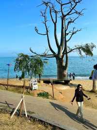 來廈門這裡千萬不要錯過這片海