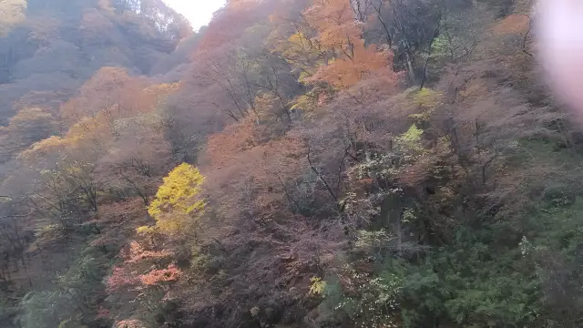 Guangwu Mountain - A World in Dreams