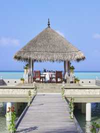 🌴 Maldives Magic: Top Stay at Taj Exotica 🏖️