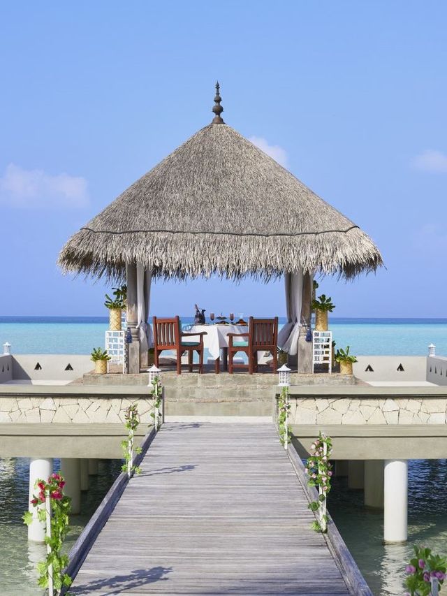 🌴 Maldives Magic: Top Stay at Taj Exotica 🏖️