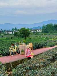 雅安旅行｜邂逅超治愈的茶山民宿