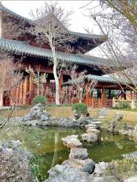 東平草堂：穿越時空的古韻之旅