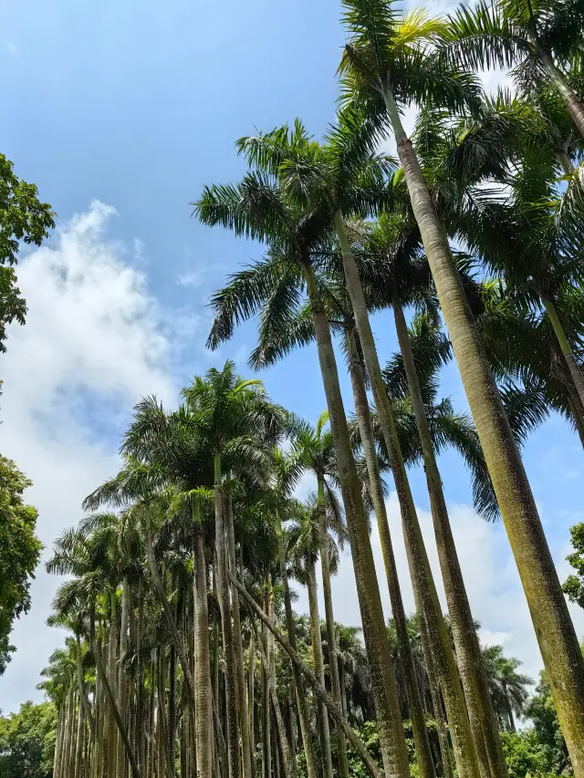 즉흥적으로 떠나는 잔장 여행