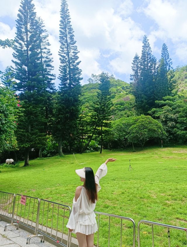 深圳探秘 | 有丁达尔效应的热带雨林